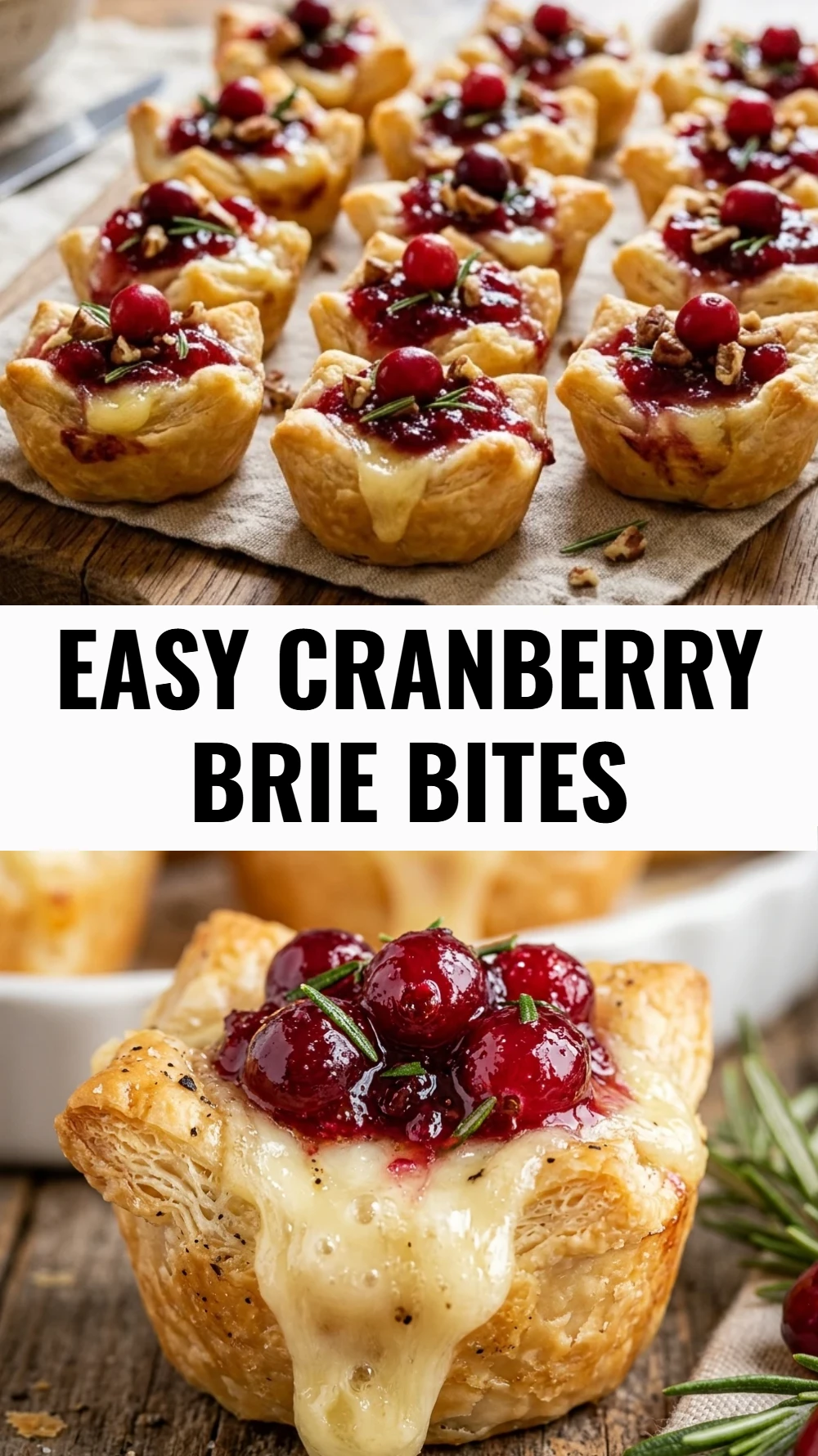 Easy Cranberry Brie Bites